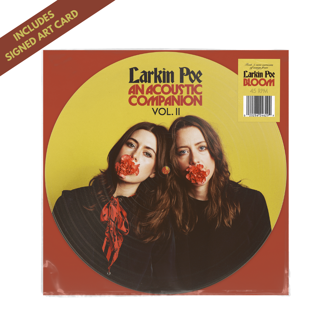 An Acoustic Companion Vol. II Picture Disc Vinyl