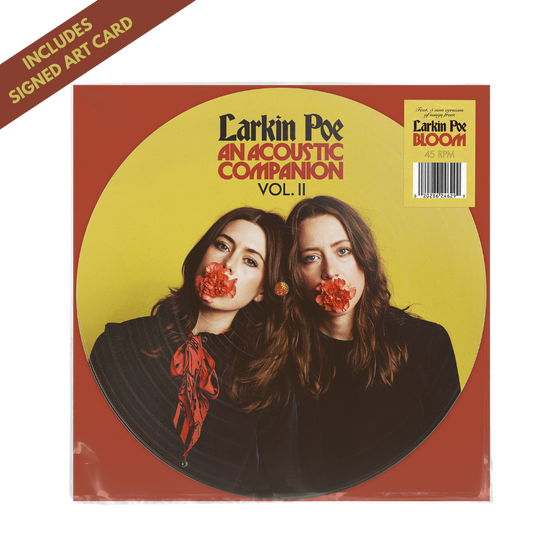 An Acoustic Companion Vol. II Picture Disc Vinyl